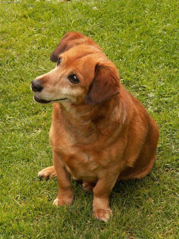 Foto: sm�j�c� se �kub�nek-je mu 13 a p�l, ale po��d je to fe��k:)