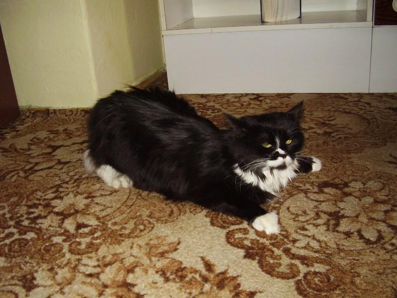 Foto: Doba p��en� je nejlep��