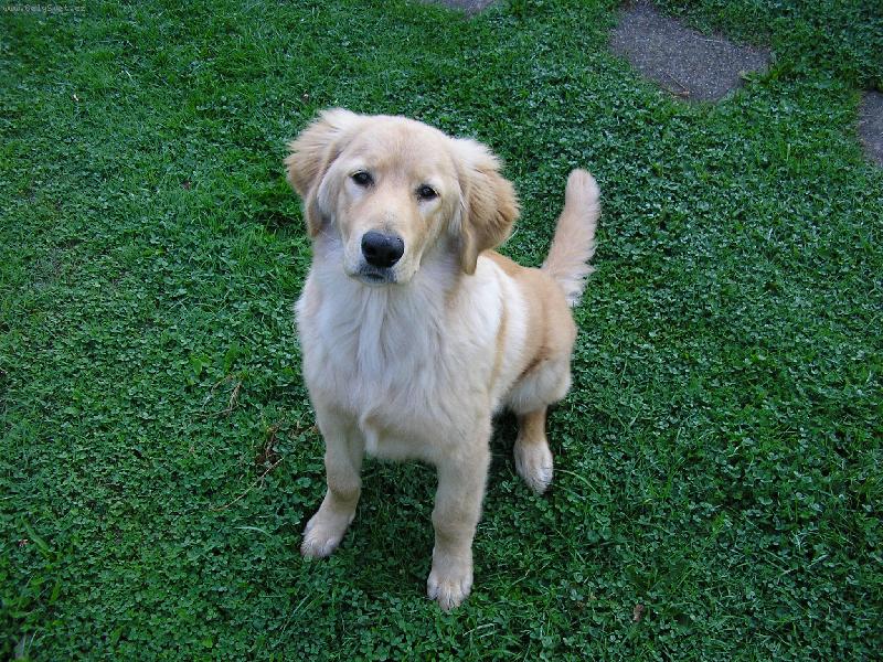 Foto: Jeremy-Letn� odpo�inek