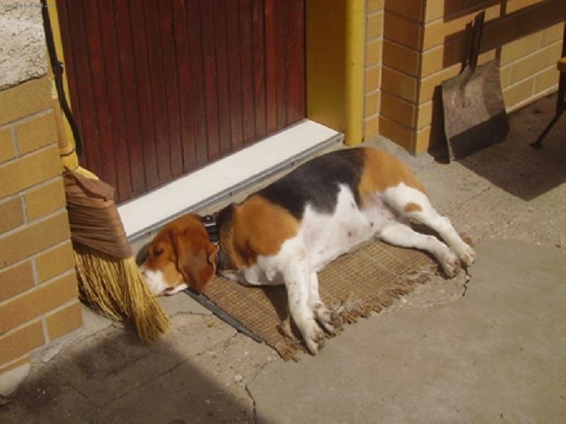 Foto: Tady str�im po��d j�...!-ZzZzZz....