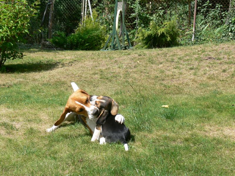 Foto: M�m t� r�da, si m�j nejlep�� k�mo�...-Biggy a Max