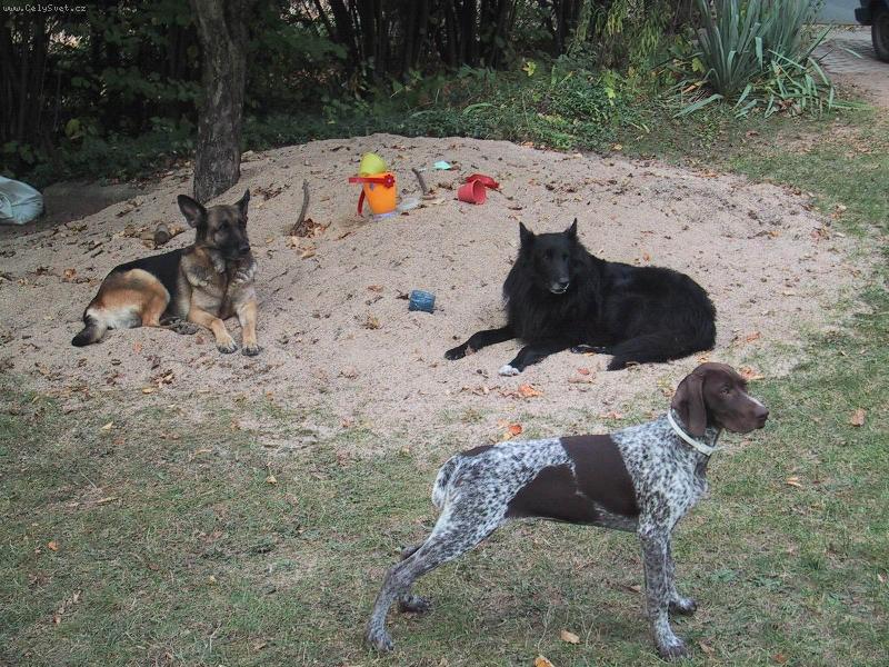 Foto: na p�se�ku-Arina Gerina a Dikou� si hrj� na p�sku