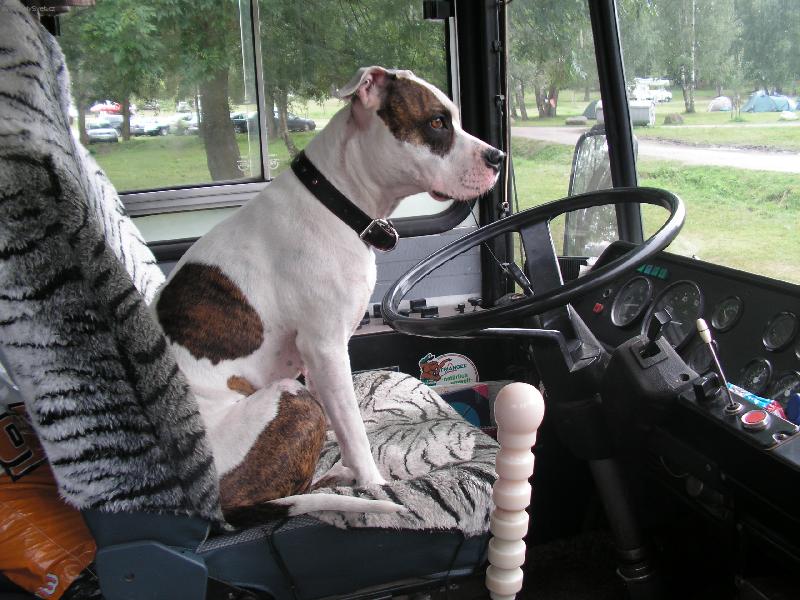 Foto: Sunny ��d�-tak nastupovat, odj�d�me!