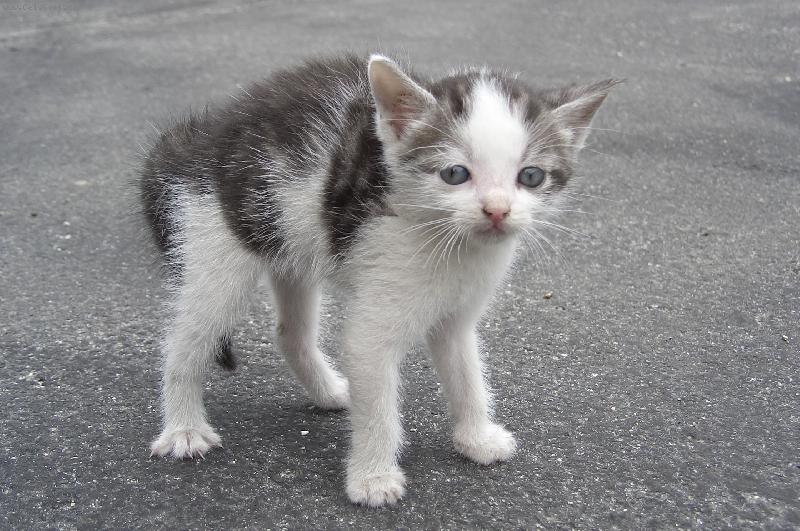 Foto: To jsem ale velk�!!!