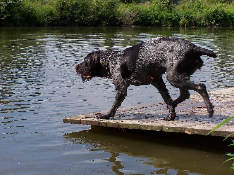 Foto: U� jdu na to, ��fe!-p��prava na skok