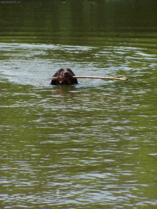 Foto: Aport!-N�meck� oha� plavouc� s klackem