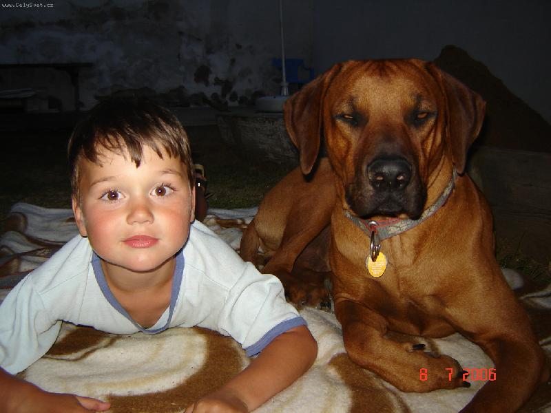 Foto: Synove�ek s haf�kem-pohoda,veget