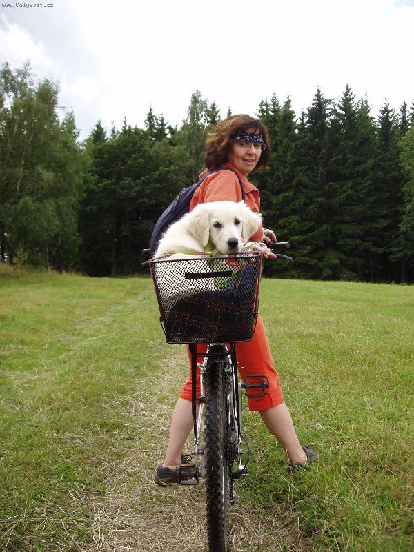 Foto: jedeme na �undr-�au!