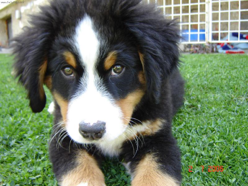 Foto: Co jsem zase provedl?