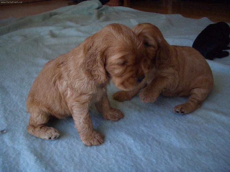 Foto: Fathi-Jestlipak se najde n�jak� hodn� p�n��ek kter� i m� vezme....Neboj s�gra, najde!