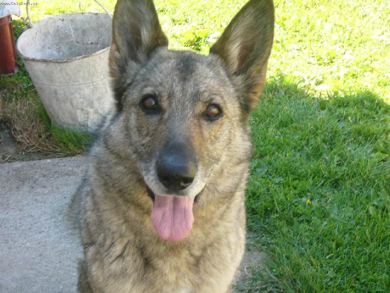 Foto: N�e princezna