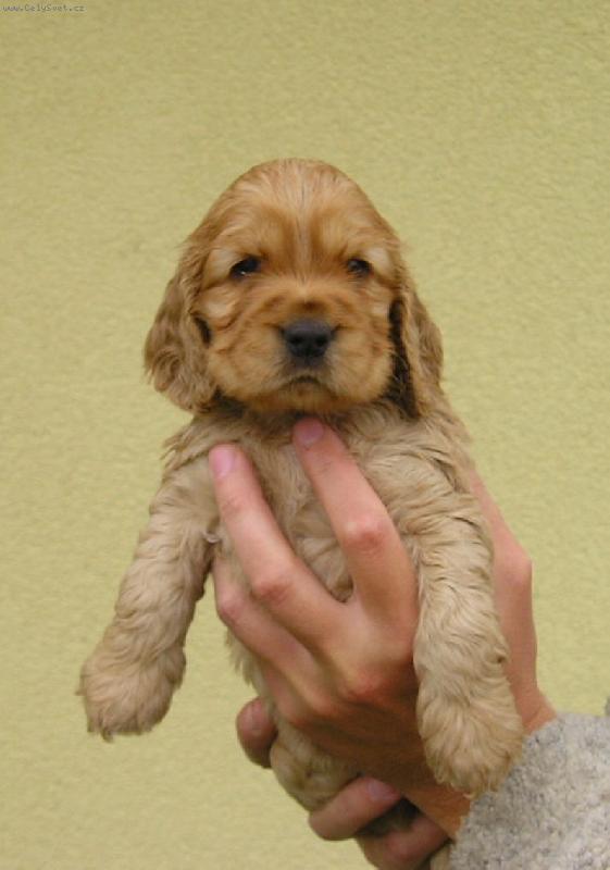 Foto: Fathi-Pro� m� po��d fot�te???