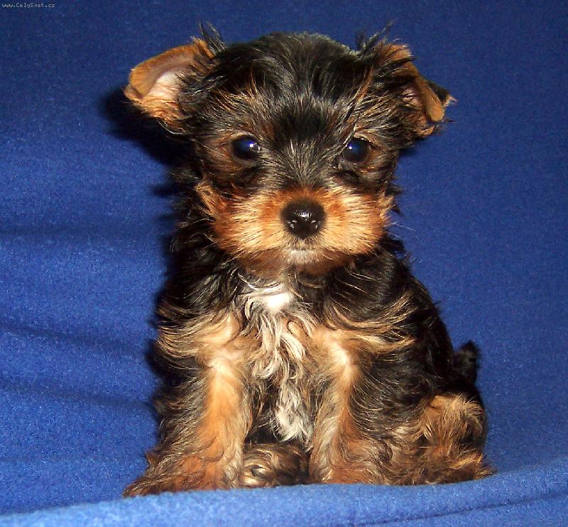 Foto: Jsem jen p�r t�dn� na sv�t�