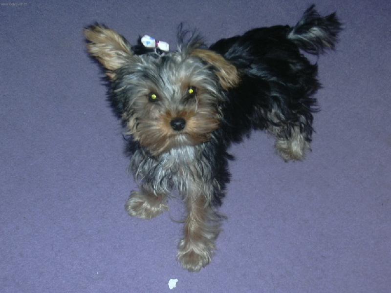 Foto: Mat�sek-kuk :)