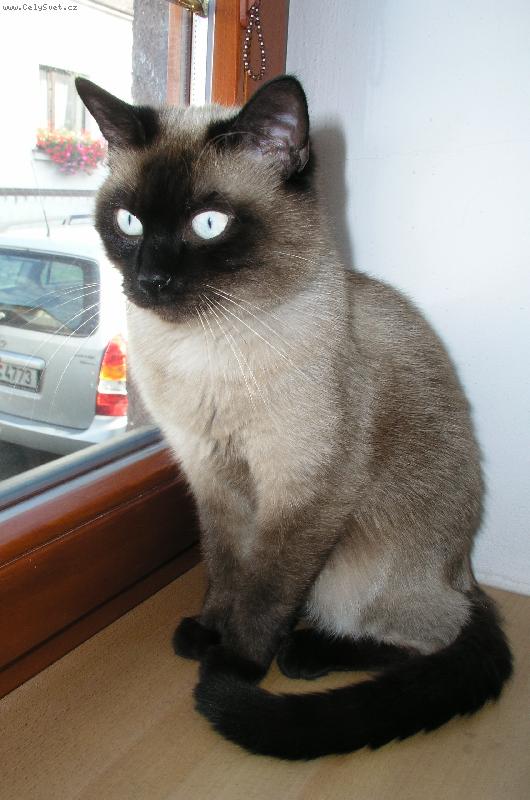 Foto: Mat�sek-kdopak to k n�m asi jde?