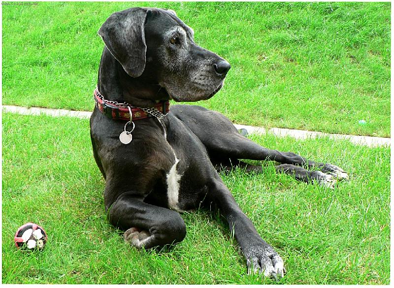 Foto: Megan-6 let star� �len na�� rodiny