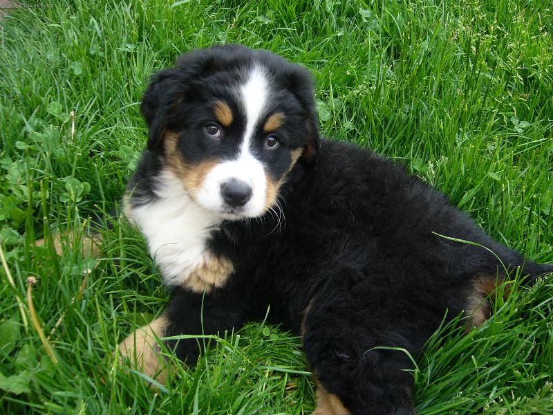 Foto: Na�e Belinka-To je pohoda.