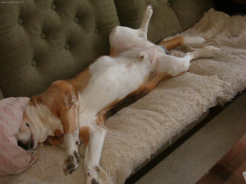 Foto: m�j mil��ek:)