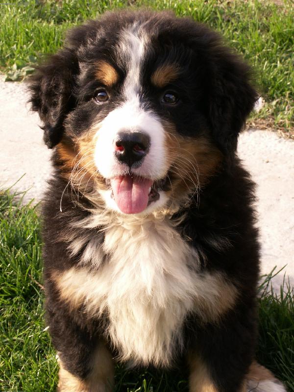 Foto: N� Xcalibur-ke� som bol e�te mali�k�