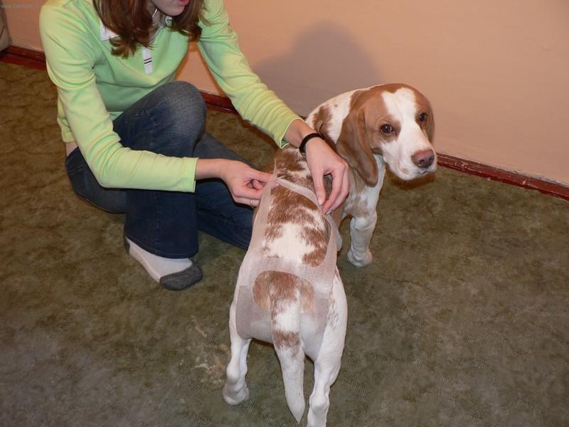 Foto: Bil jsem jako cedn�k, te� u� to nekape-�e�en� inkontinence, aneb i v st��� je mo�n� m�t �isto.