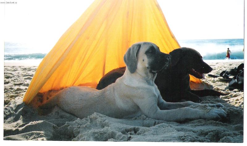 Foto: Terezka a Wendy-Francie 05