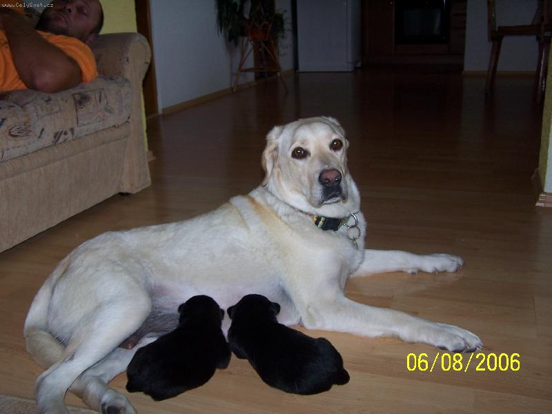 Foto: Veronka a jej� pot�r