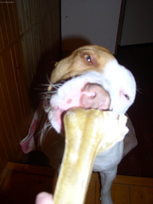 Foto: To je ale m�amka..tak mi to u� deeeejj!!!!-podzimn� proch�zka