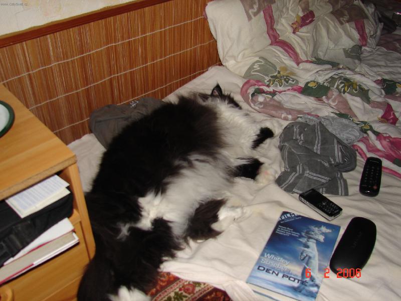 Foto: To je sn�n�...-Nen� nic lep��ho ne� sp�t.