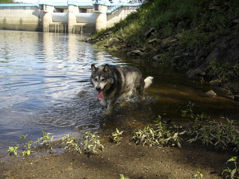 Foto: Rony-na p�ehrad�