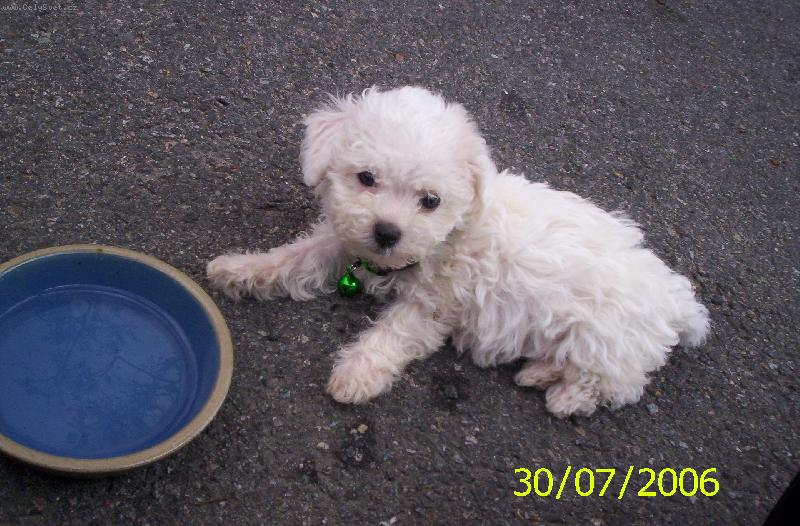 Foto: Gesinka-L�b�m se ti :-) ??