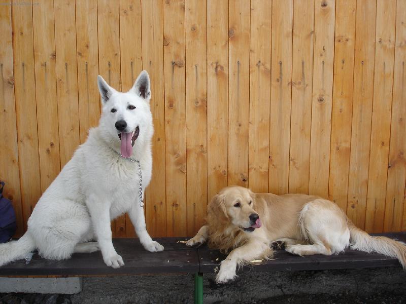 Foto: k�mo�i-odpo�inek po cvi�en�