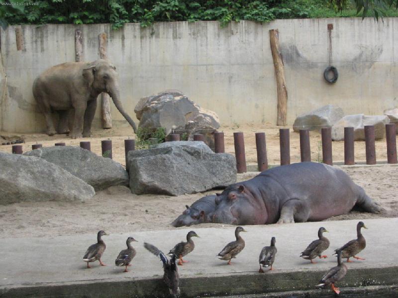 Foto: T�i v jednom, aneb �� je to vlastn� v�b�h :-)