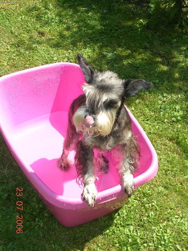 Foto: To je ale vedro!