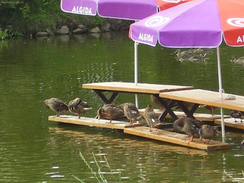 Foto: m��eme si p�isednout?-m��eme si p�isednout?