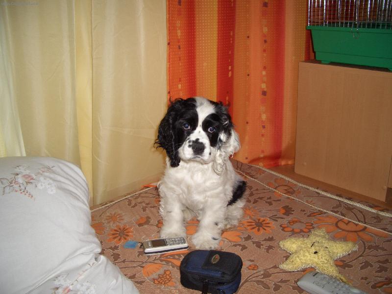 Foto: po�k�m, jestli zavol�-na�e spole�n� za��tky:-)