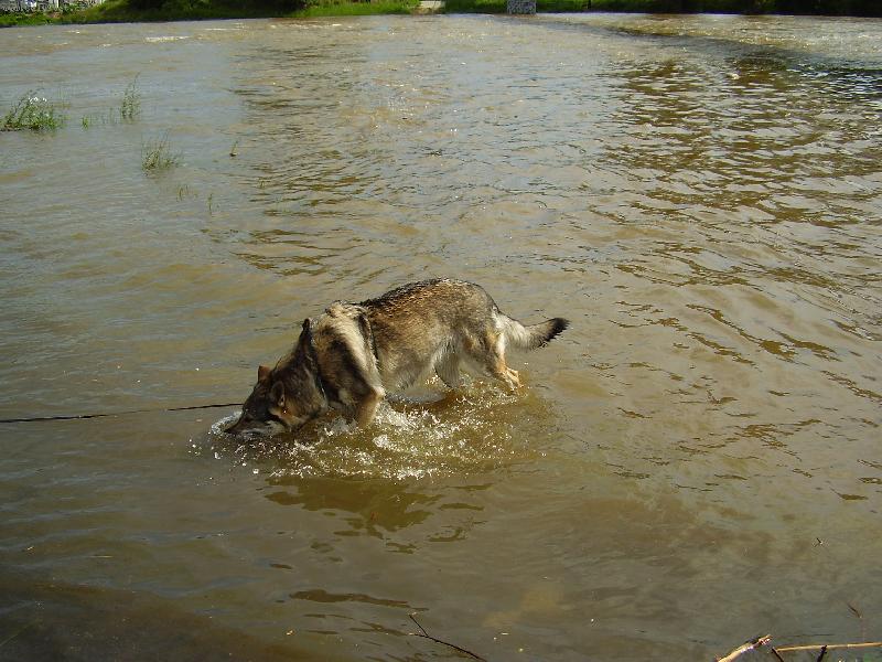 Foto: Cira ve Vltav�