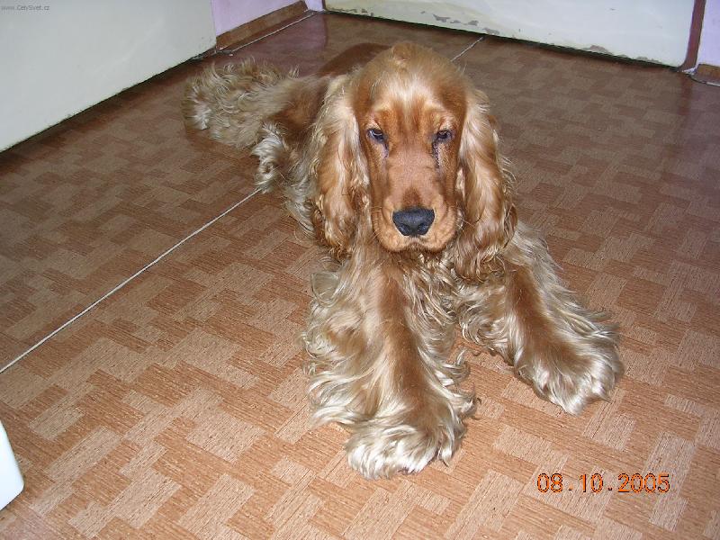 Foto: Dag z Hromnick� Ba�antice-Nen� nad to se po��dn� prot�hnout