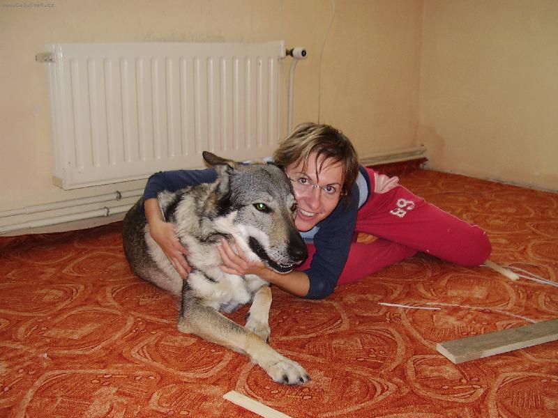 Foto: Pokl�d�n� koberce