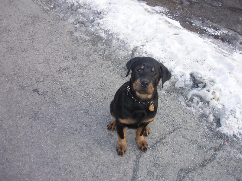 Foto: Jsem je�t� miminko