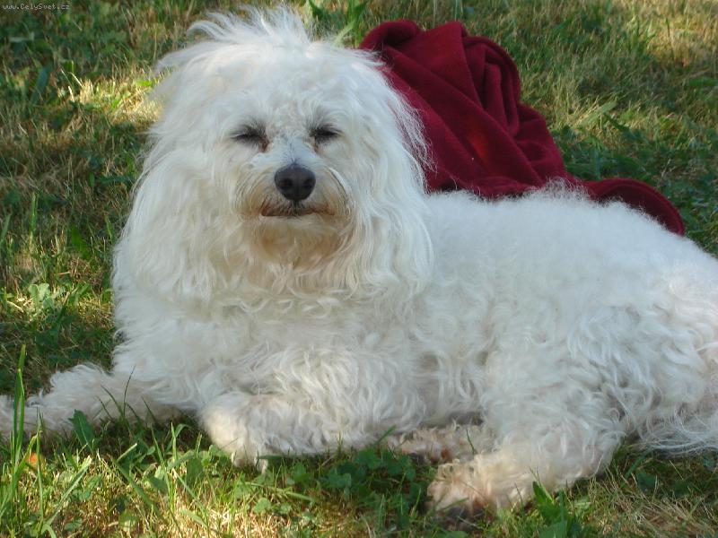 Foto: Den�sek-spink�m,neru�it!!