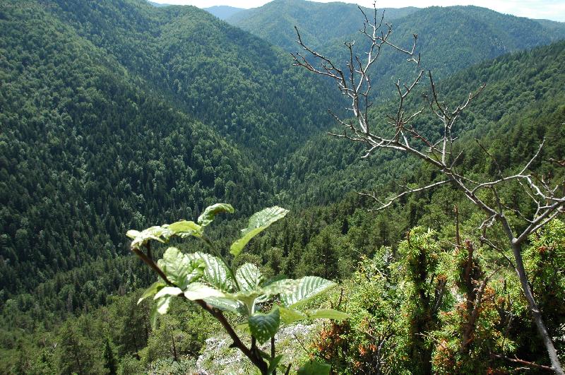 Foto: Slovensk� r�j-kr�sy Slovensk�ho r�je