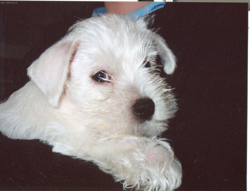 Foto: Na�e �t��ata-Foto skoro jak do pasu