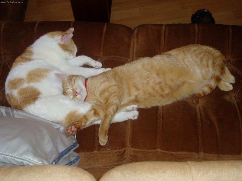 Foto: u maminky je nejl�p