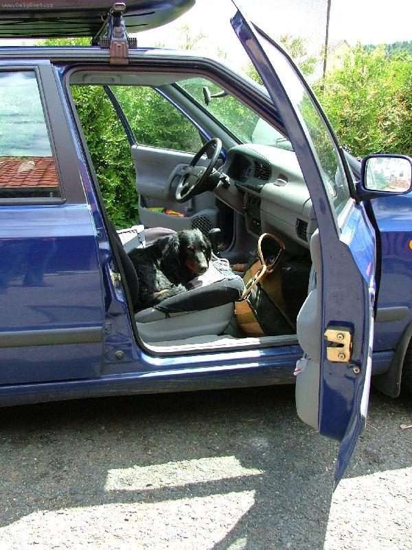 Foto: Chorvatsko vol�-Tak, j� jsem p�ipraven