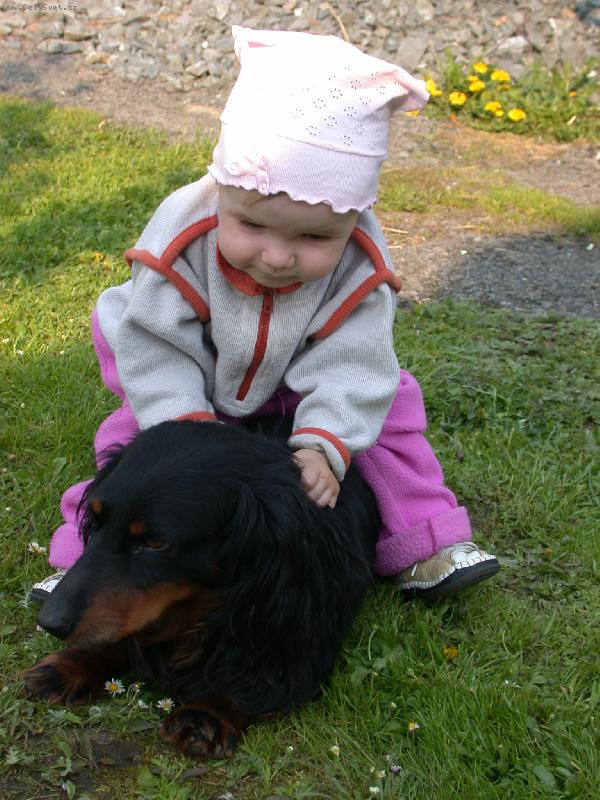 Foto: Osedlan� Port�k-Tak jedeme!