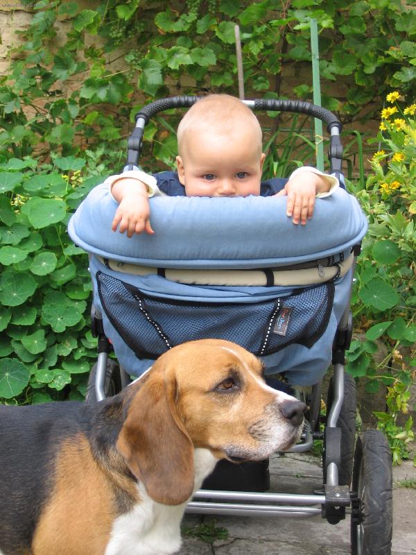 Foto: Kuk kamar�de