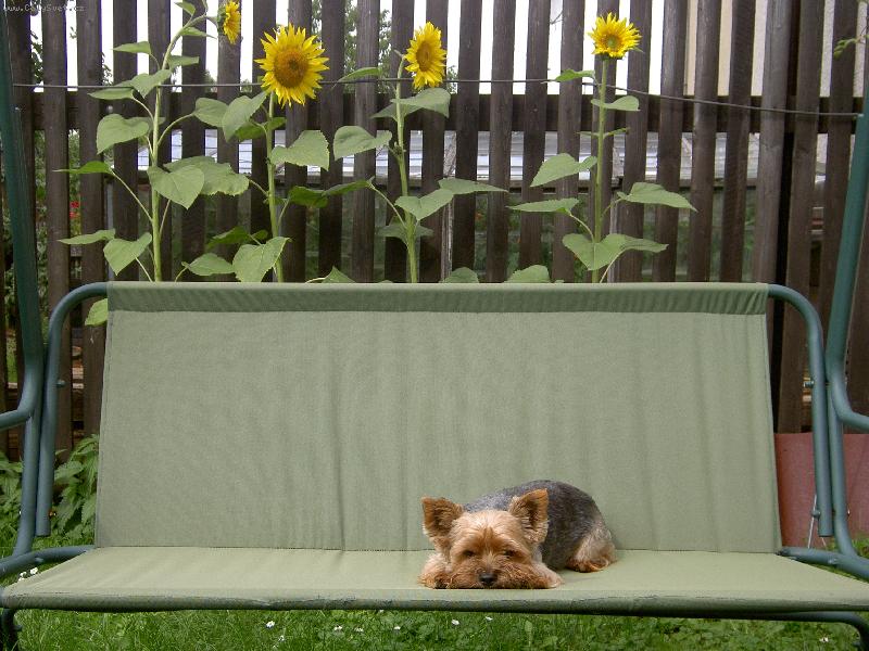 Foto: To je pohodi�ka