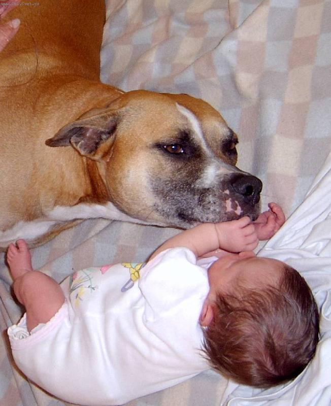 Foto: Ares ochr�nce :-)-Ares5let a Kl�rka5dn�...