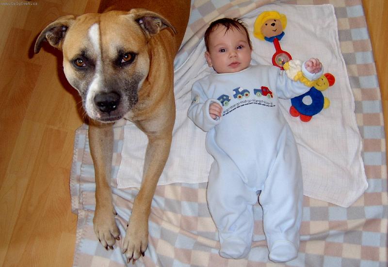 Foto: poledn� siesta...-Kl�rka s ochr�ncem Ariskem