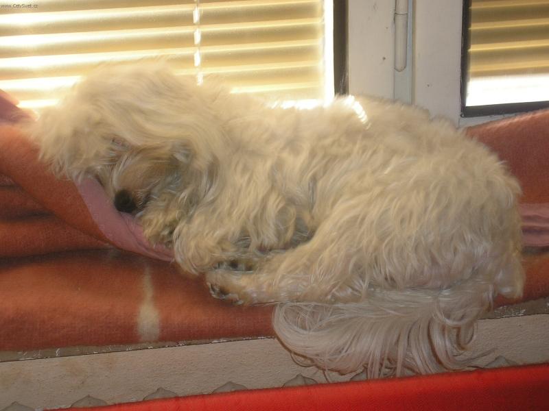 Foto: Leh�ro na okn�-Nen� mi je�t� ani rok ale na okno si u� um�m vyko�it,ale mus�m pou��t �idly